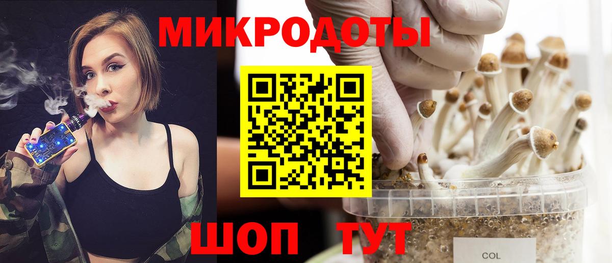 Псилоцибиновые грибы MAGIC MUSHROOMS  Галлюциногенные грибы Psilocybine cubensis  Вход с VPN  Нижний Новгород 